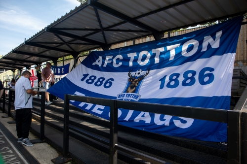 BIG STAG FLAG.jpg