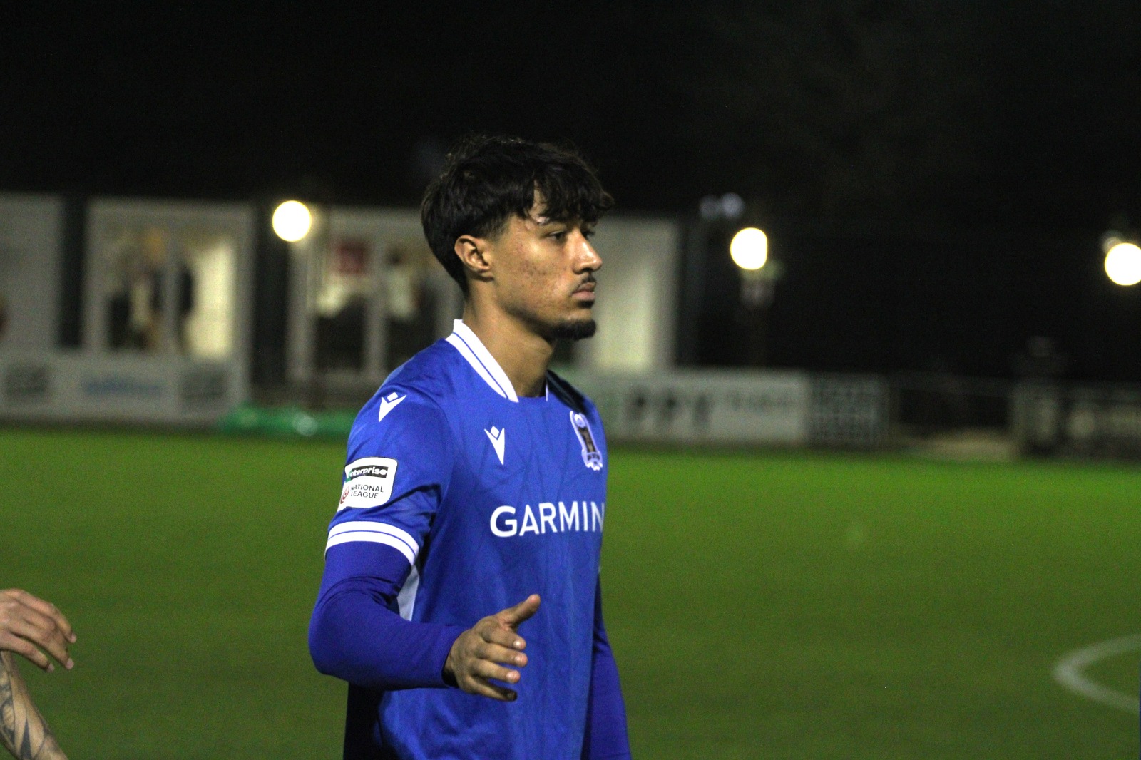 Bartolo in Blue.jpeg